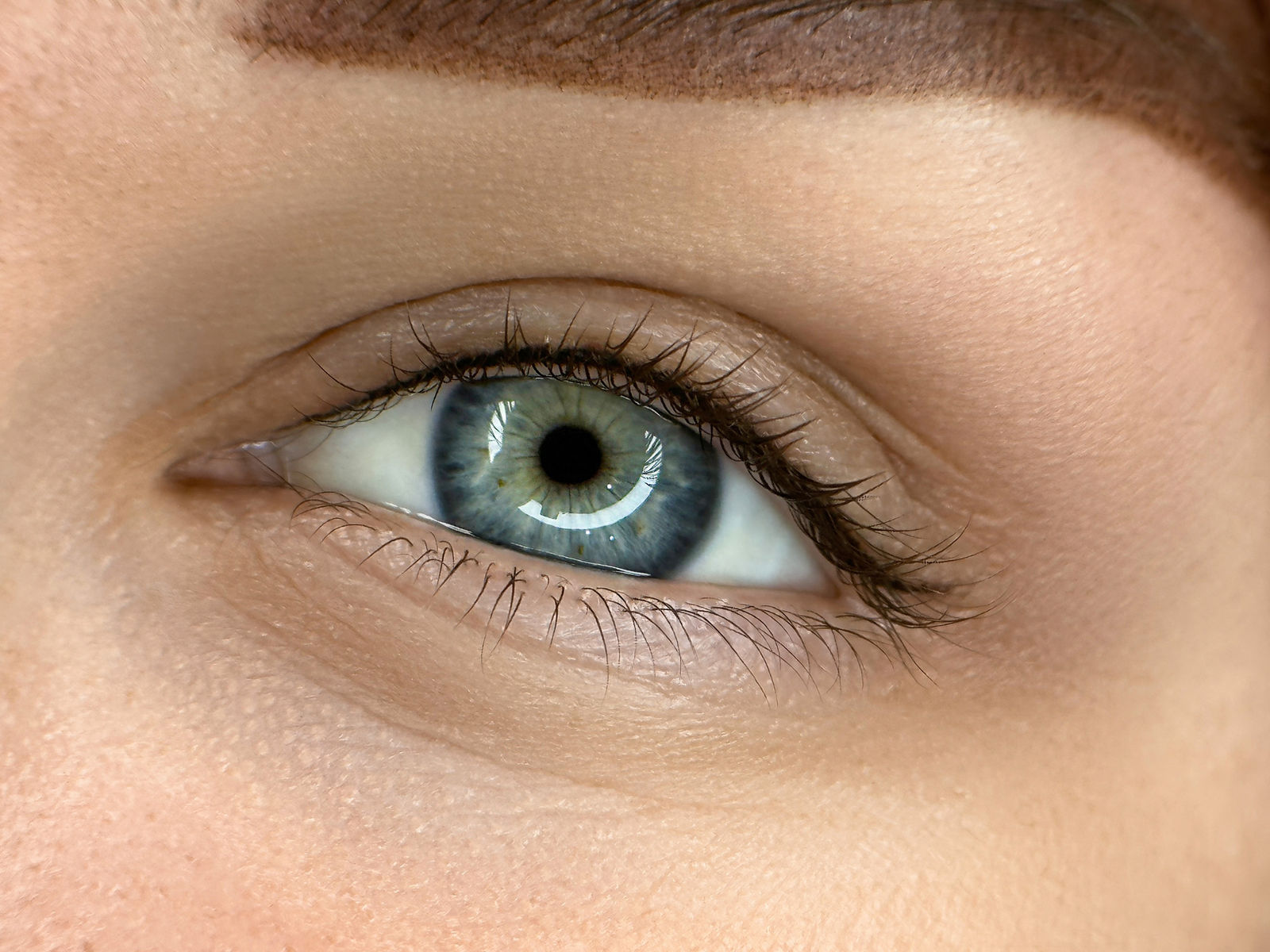 Nahaufnahme eines Auges mit feiner Wimpernkranz-Verdichtung
